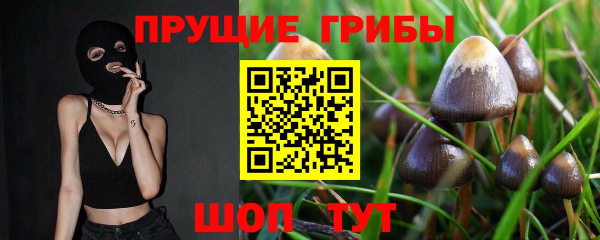 Галлюциногенные грибы мухоморы Кудрово